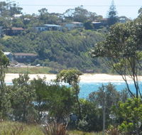 Mollymook Beach Units - New South Wales Tourism 