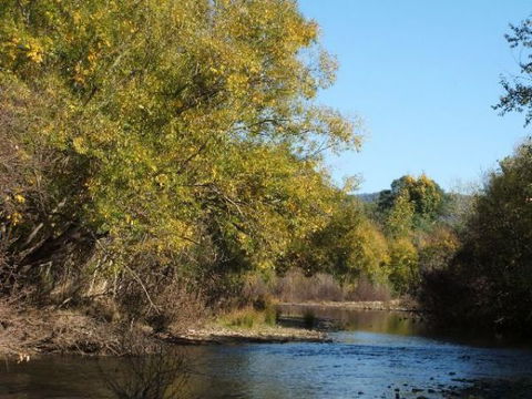 Restaway Holiday Units - New South Wales Tourism  6