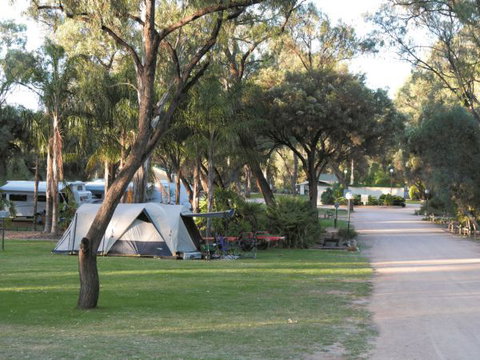 Riverbend Caravan Park Renmark - New South Wales Tourism  1