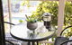 Amalfi Resort - thumb 16