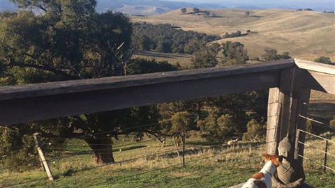 Merrindie - New South Wales Tourism  5