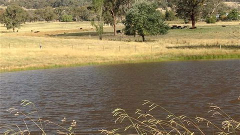 Black Horse Park - New South Wales Tourism  4