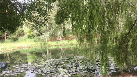 Chestnut Springs - New South Wales Tourism  7
