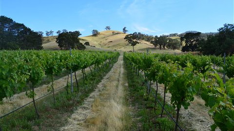 Blue House At Mountainside Wines - New South Wales Tourism  1