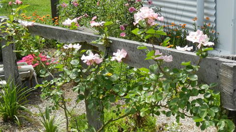 Willy's Holiday House - New South Wales Tourism  4