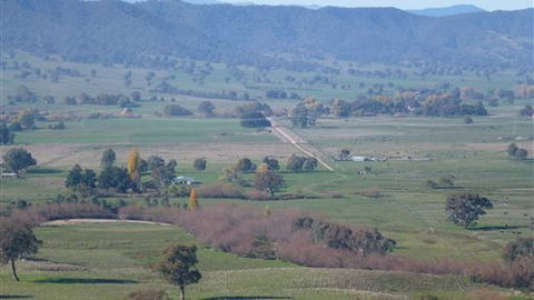 Willy's Holiday House - New South Wales Tourism  5