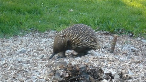 Sabrelyn Park - New South Wales Tourism  5