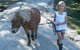 Cloud End Farmstay - thumb 2