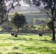 Bellevue Farmstay - New South Wales Tourism 
