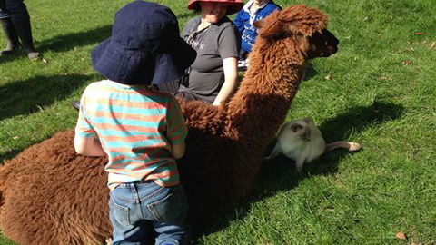 Bellevue Farmstay - New South Wales Tourism  5
