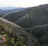 YMCA Howmans Gap Alpine Centre - New South Wales Tourism 