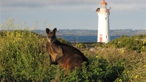 Port Fairy YHA - New South Wales Tourism  2