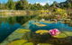 Planetrees Lodge - thumb 0