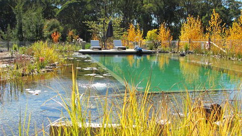 Planetrees Lodge - New South Wales Tourism  5