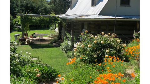Planetrees Lodge - New South Wales Tourism  6