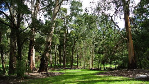 Wildwood Retreat - New South Wales Tourism  0