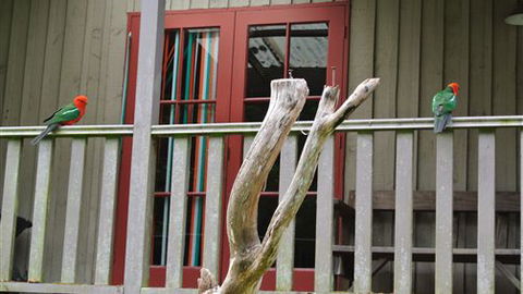 Wildwood Retreat - New South Wales Tourism  4