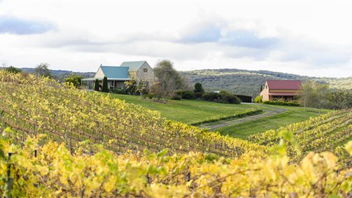 Belrose NSW New South Wales Tourism 