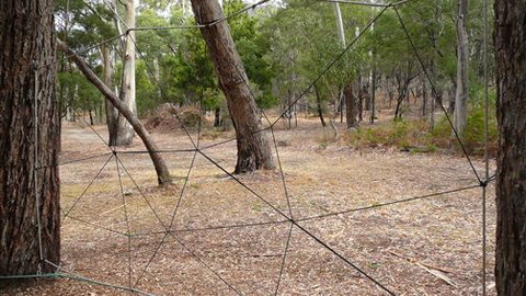 UC Camping Norval - New South Wales Tourism  1