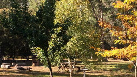 Schusters Lodge - New South Wales Tourism  6