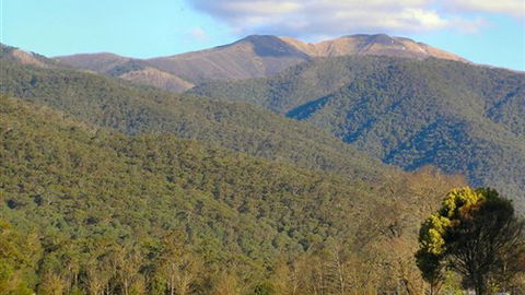 Mountain View Retreat - New South Wales Tourism  4