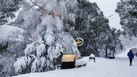 Feathertop Alpine Lodge - New South Wales Tourism  0