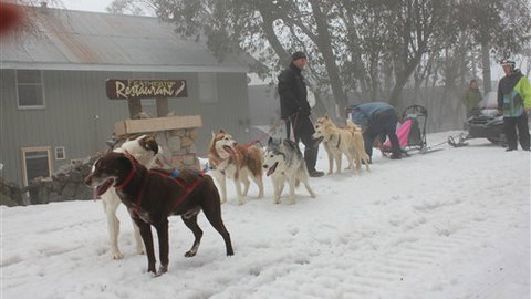 Feathertop Alpine Lodge - New South Wales Tourism  4