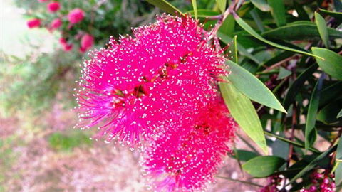 Sweetwater Stays Rural Retreat - New South Wales Tourism  4