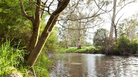 Lonsdale Park On The Yarra - New South Wales Tourism  7