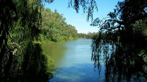 Perricoota Station - New South Wales Tourism  2