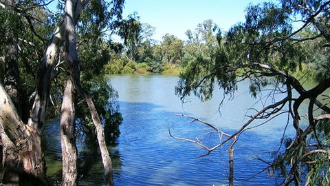 Perricoota Station - New South Wales Tourism  4