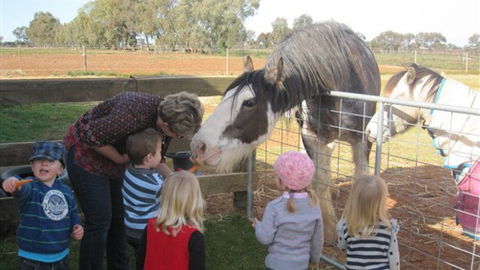 Cabarita Lodge - New South Wales Tourism  4