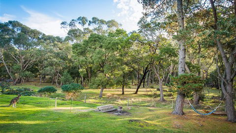 Serenity Halls Gap: Nat Park Frontage - New South Wales Tourism  7