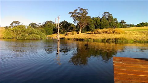 Cygnet Park Country Retreat - New South Wales Tourism  4