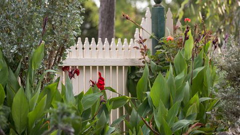 Muscat House - New South Wales Tourism  6