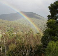 Wattletree Cottage - New South Wales Tourism 