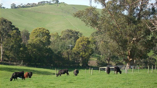 Korumburra South VIC New South Wales Tourism 