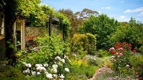 Kookaburra Ridge - New South Wales Tourism  3