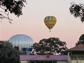 Nuriootpa SA New South Wales Tourism 