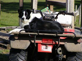 Breakaway Farmstay - New South Wales Tourism  3