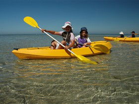 Ceduna Shelly Beach Caravan Park And Beachfront Villas - New South Wales Tourism  3
