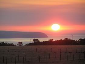 Dee's Villa - New South Wales Tourism  2