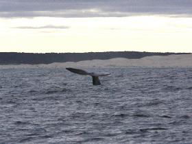 Fowlers Ocean Eco Retreat - New South Wales Tourism  2
