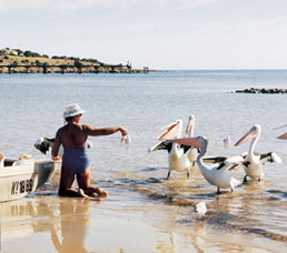 Loverings Lodge - Emu Bay - New South Wales Tourism  1