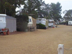 Pine Point Caravan Park - New South Wales Tourism  2