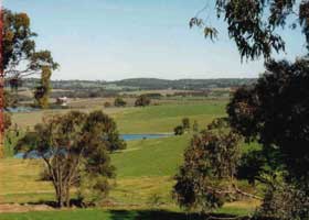 Riesling Country Cottages - New South Wales Tourism  1