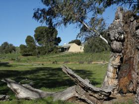 Saunders Gorge Sanctuary - Boundary Cottage - New South Wales Tourism  3