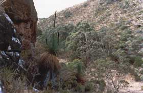 Saunders Gorge Sanctuary - Hideaway Cottage - New South Wales Tourism  1