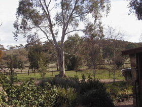 Settlers Cottage - New South Wales Tourism  0