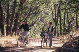 Trestrail - New South Wales Tourism  1